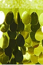 view 4 of 4 Imogen Sequin Midi Dress in Peridot Combo