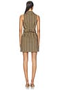 view 3 of 4 VESTIDO INNA SLEEVELESS POPLIN MINI in Black & Tan Stripe