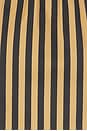 view 4 of 4 VESTIDO INNA SLEEVELESS POPLIN MINI in Black & Tan Stripe