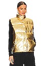 view 2 of 5 CHALECO AZUR VEGAN LEATHER in Star Gold