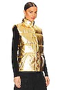 view 3 of 5 CHALECO AZUR VEGAN LEATHER in Star Gold