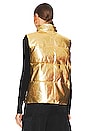 view 4 of 5 CHALECO AZUR VEGAN LEATHER in Star Gold