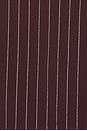 view 5 of 5 Sabine Pinstripe Vest in Bordeaux Metallic Pinstripe