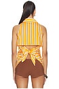 view 4 of 5 ARRIBA LOCH SLEEVELESS POPLIN BUTTON in Sungold & Ecru Stripe