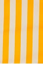 view 6 of 6 Kit Poplin Tie Top in Sungold & Ecru Stripe