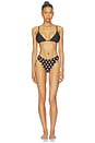 view 4 of 4 BRAGUITA BWAI BIKINI in Black & Tan Polka Dot