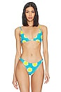 view 1 of 4 Bwai Bikini Top in Suburban Blue & Valley Green Dot Print