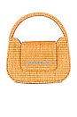 view 1 of 4 Retro Mini Bag in Natural