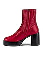 view 5 of 5 BOTTINES LOW RAID in Cranberry