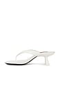 view 5 of 5 TANGA BRANCA BEEP in White