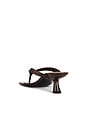 view 3 of 5 Beep Thong Sandal in Chocolate