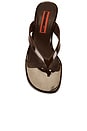 view 4 of 5 Beep Thong Sandal in Chocolate