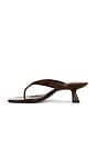 view 5 of 5 Beep Thong Sandal in Chocolate