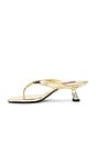 view 5 of 5 Beep Thong Sandal in Star Gold