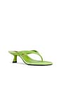 view 2 of 5 Beep Thong Sandal in Matcha