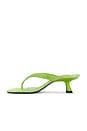 view 5 of 5 Beep Thong Sandal in Matcha
