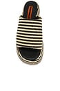 view 4 of 5 Stripe Raffia Cloudy Platform Sandal in Black & White Micro Stripe