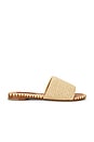 view 1 of 5 Raffia Salerno Sandal in Natural