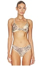 view 1 of 4 BRASSIÈRE in Sand Multi Animal