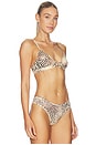 view 2 of 4 BRASSIÈRE in Sand Multi Animal