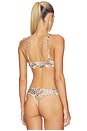 view 3 of 4 BRASSIÈRE in Sand Multi Animal