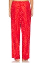 view 7 of 8 Sheer Velvet Burnout Cami & Pant Set in Ruby Contrast
