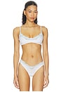 view 1 of 1 Fits Everybody Lace Scoop Bralette in Slate Dot Print