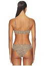 view 4 of 4 BRASSIÈRE FITS EVERYBODY in Desert Leopard Ink Print