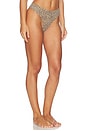 view 2 of 4 STRING FITS EVERYBODY in Desert Leopard Ink Print