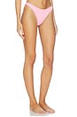 view 2 of 4 Everybody Cotton Thong in Peony