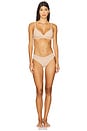 view 4 of 4 Fits Everybody Cheeky Brief in Clay