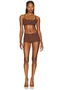 view 4 of 4 Fits Everybody Boyshort in Cocoa