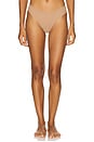view 1 of 4 Fits Everybody Thong in Sienna
