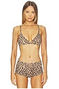 view 1 of 4 Fits Everybody Triangle Bralette in Sienna Jaguar Print
