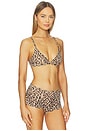 view 2 of 4 Fits Everybody Triangle Bralette in Sienna Jaguar Print