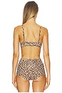 view 3 of 4 Fits Everybody Triangle Bralette in Sienna Jaguar Print