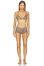 view 4 of 4 Fits Everybody Triangle Bralette in Sienna Jaguar Print