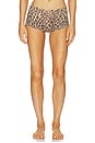 view 1 of 4 Fits Everybody Boyshort in Sienna Jaguar Print