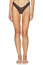 view 1 of 4 Fits Everybody Lace Dip Thong in Espresso