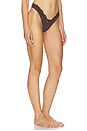 view 2 of 4 Fits Everybody Lace Dip Thong in Espresso