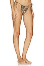 view 2 of 4 Classic Swim Medallion Tie Side Bikini Bottom in Cheetah Skin Print