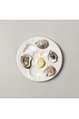 view 3 of 3 Oyster Plate in White