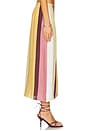 view 3 of 6 Fontana Skirt in Elisa Stripe