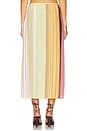 view 4 of 6 Fontana Skirt in Elisa Stripe
