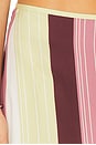 view 6 of 6 Fontana Skirt in Elisa Stripe