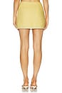 view 4 of 6 Carlotta Mini Skirt in Raffia