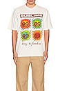 view 4 of 5 Sublime Sun Grid T-shirt in Creme