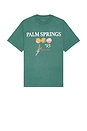 view 1 of 4 Palm Springs Heavyweight Tee in Spruce