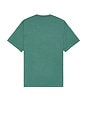 view 2 of 4 Palm Springs Heavyweight Tee in Spruce