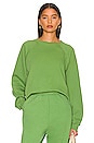 view 1 of 4 The Raglan Crewneck in Sage